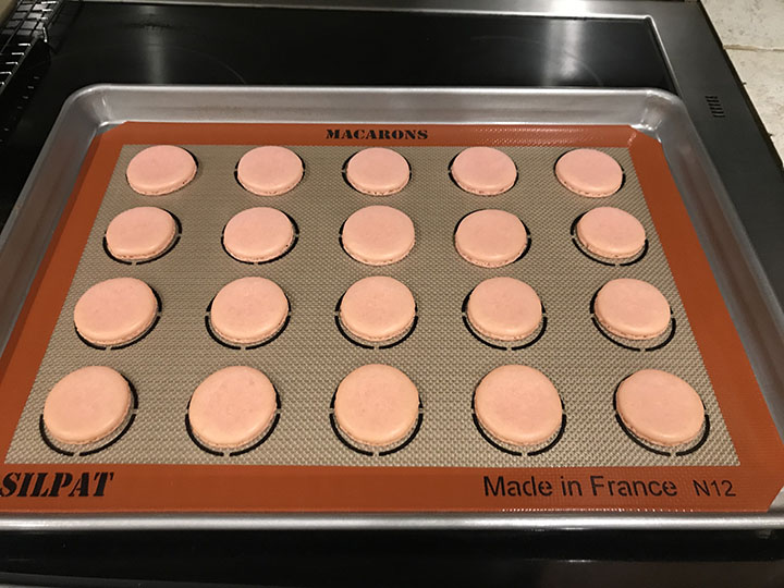 Pink macaron shells on silpat